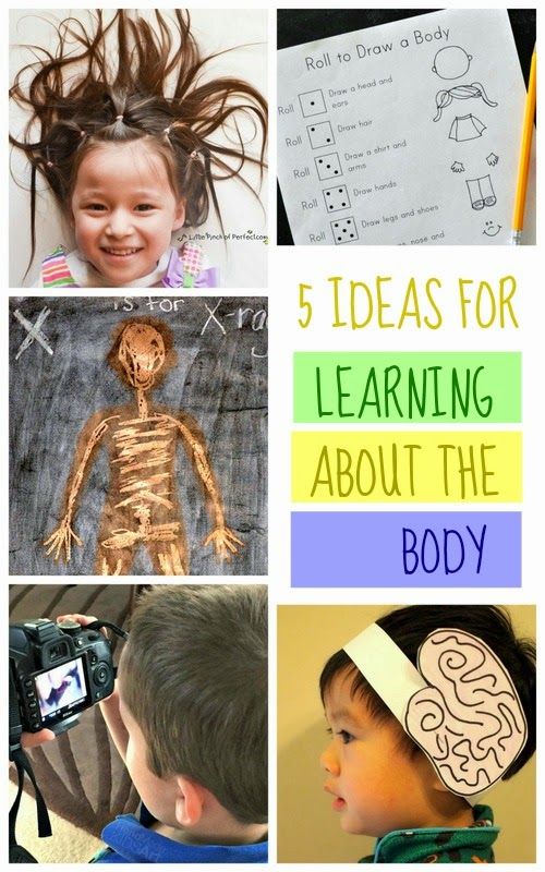 preschool science activities- 5 ideas for learning about the body
