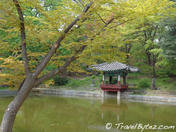 Changdeokgung Palace’s Secret Garden (Biwon 비원 / Huwon 후원)