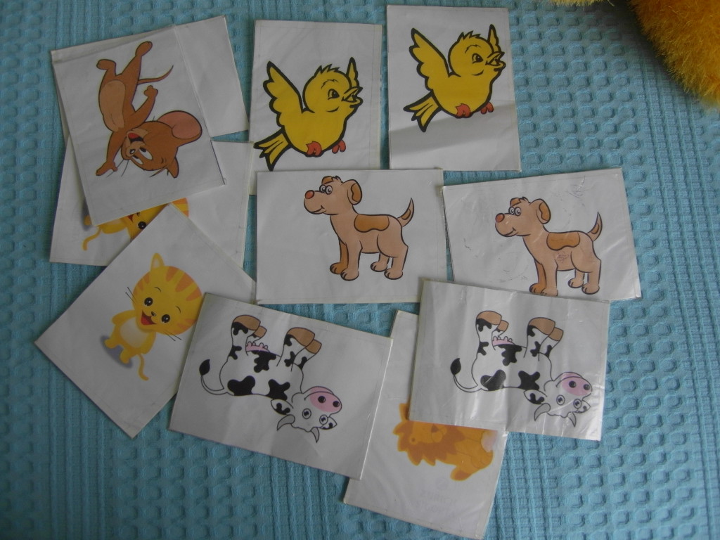 Evrim Arda Sevimli Ev yapımı Hafıza Kartları