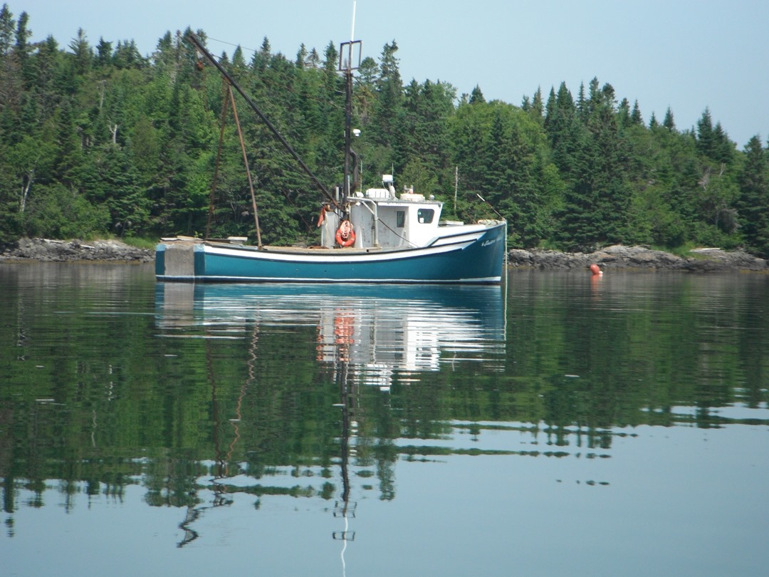 The ShoreXplorers Kayaking Johnson Bay, Lubec Maine [Passamaquoddy Bay