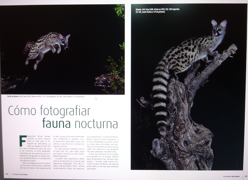 Revista: EL Fotógrafo Nocturno