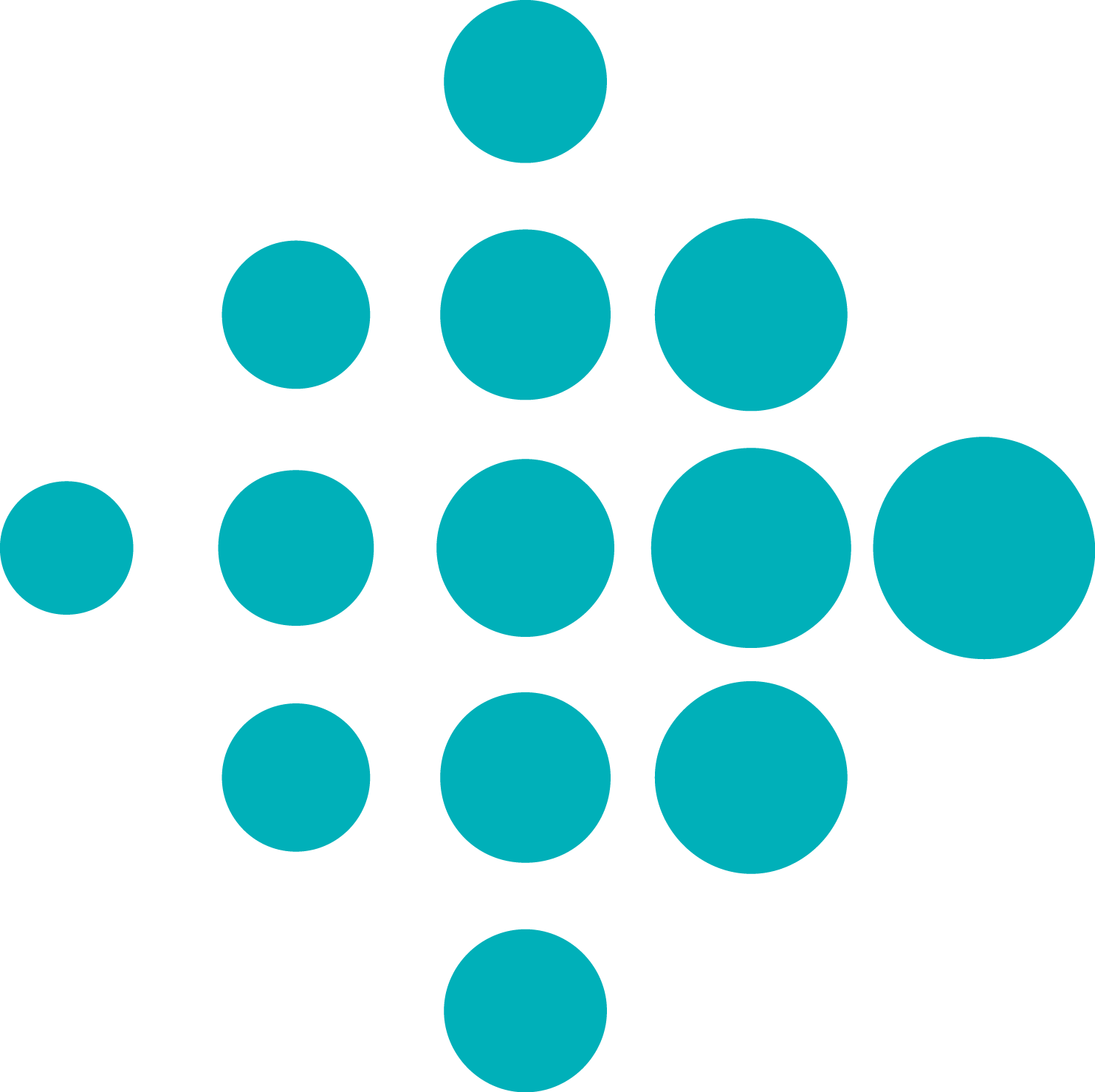 fitbit vector