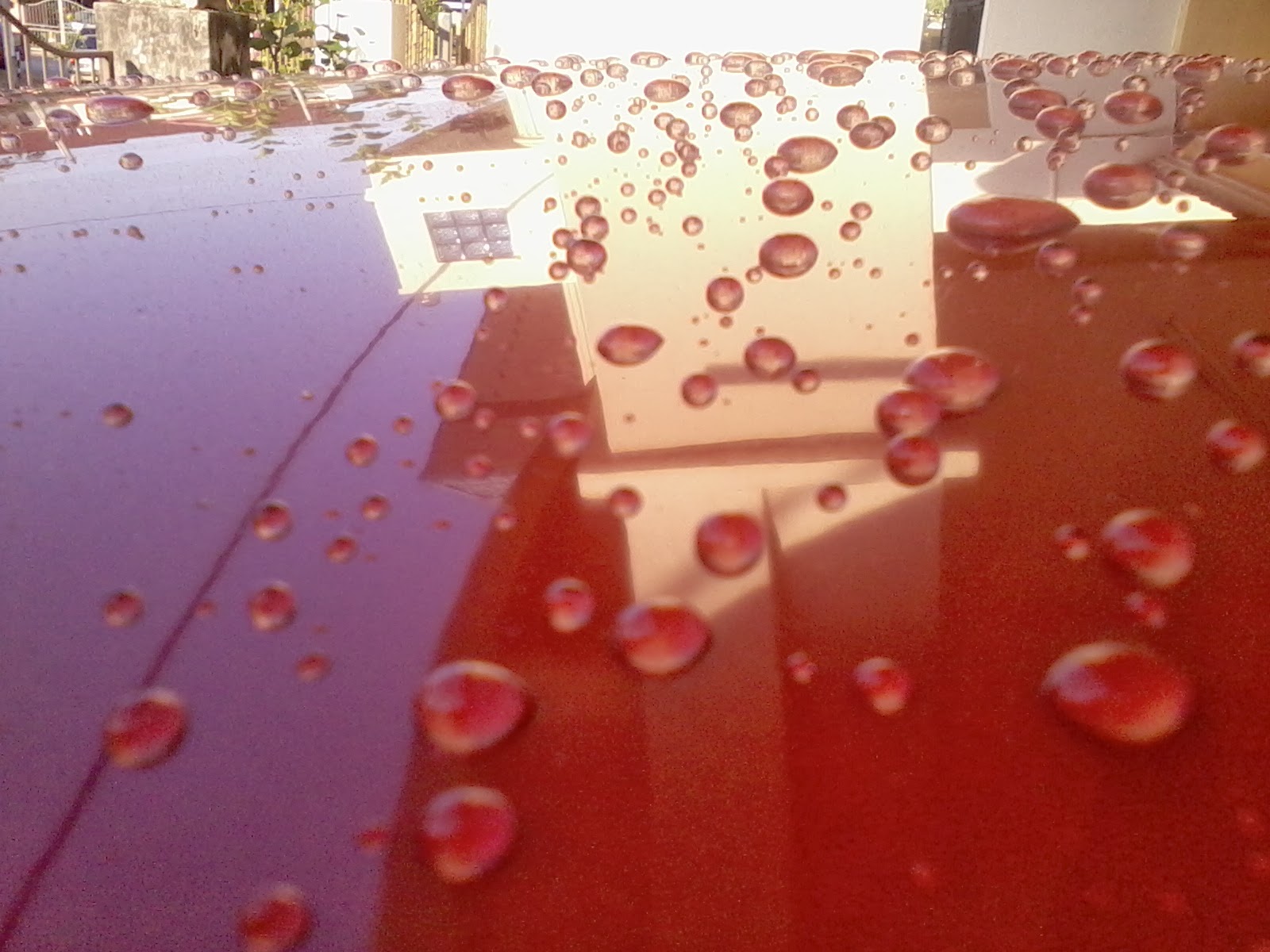 About Auto Care A review of car wax over sealant