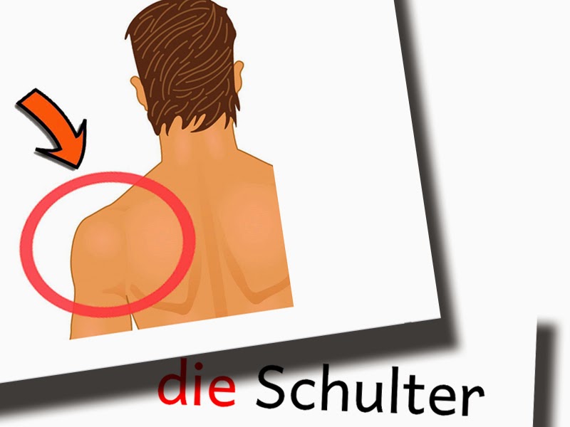 Bild wortkarten - Unser Favorit