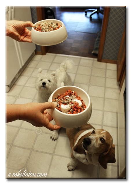 Bentley & Pierre are so excited to have mix 'n mores in their food