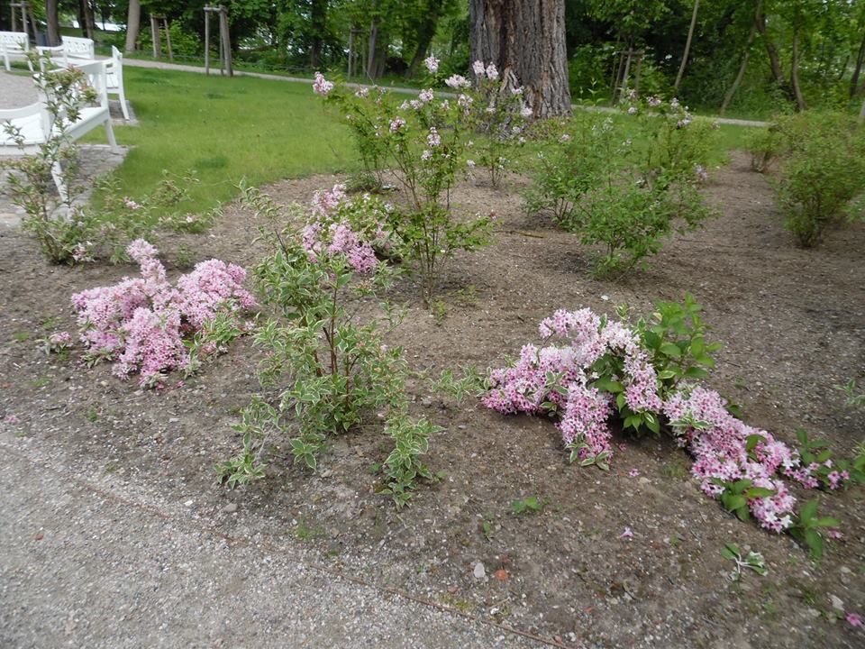 Lost In Combat A Scrap Metal Find From The Bronze Age Battlefield