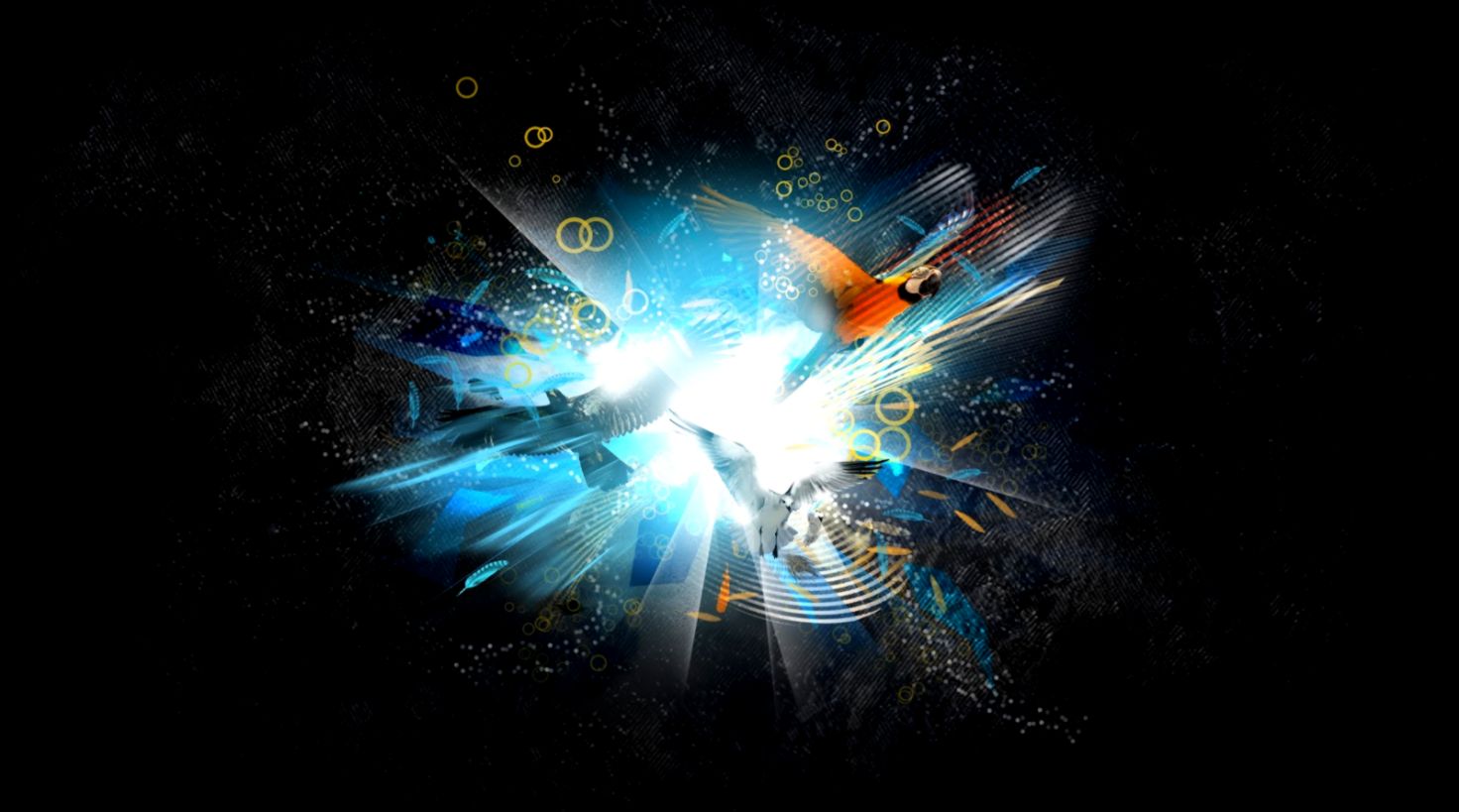 الكمبيوتر 2013Computer Desktop Wallpapers Collection