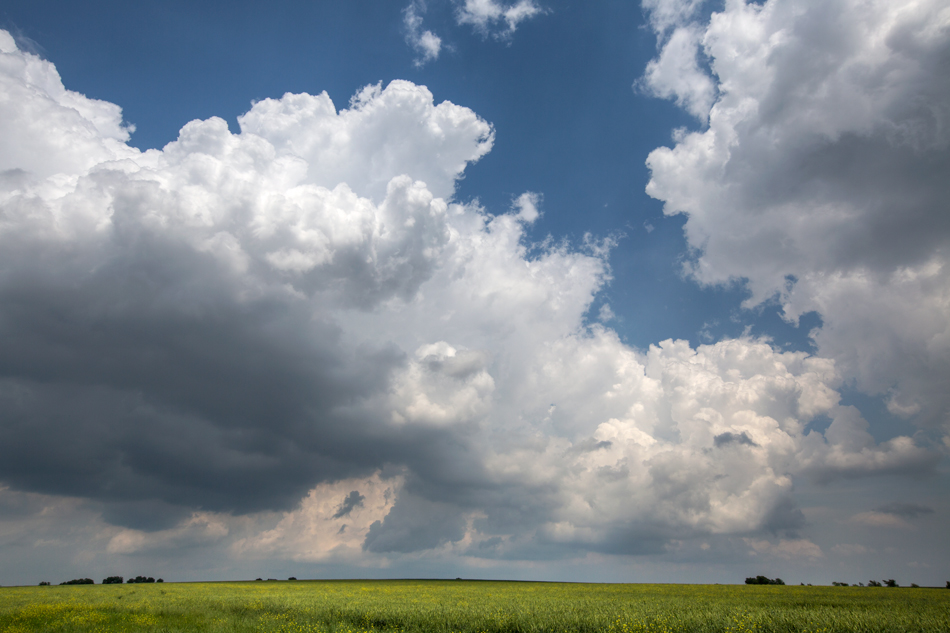 Head in the Clouds: 101: Clouds II