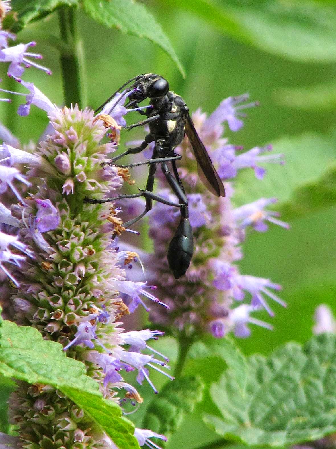 Movie about east german gay musician