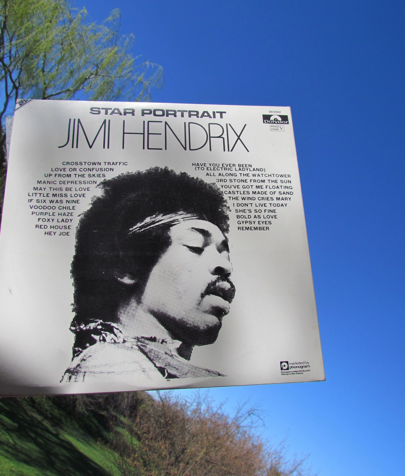 Lady Mondegreen's Secret Garden Excuse Me While I Kiss This Guy