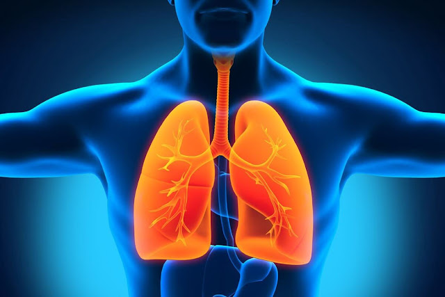 Malignant Mesothelioma Malignant Mesothelioma