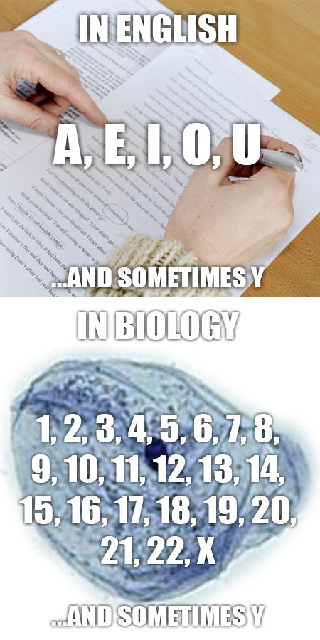 Https Encrypted Tbn0 Gstatic Com Images Q Tbn 3aand9gctkoryzst0kvjqhycxrgoyxp7fslsw4oqnxmw Usqp Cau