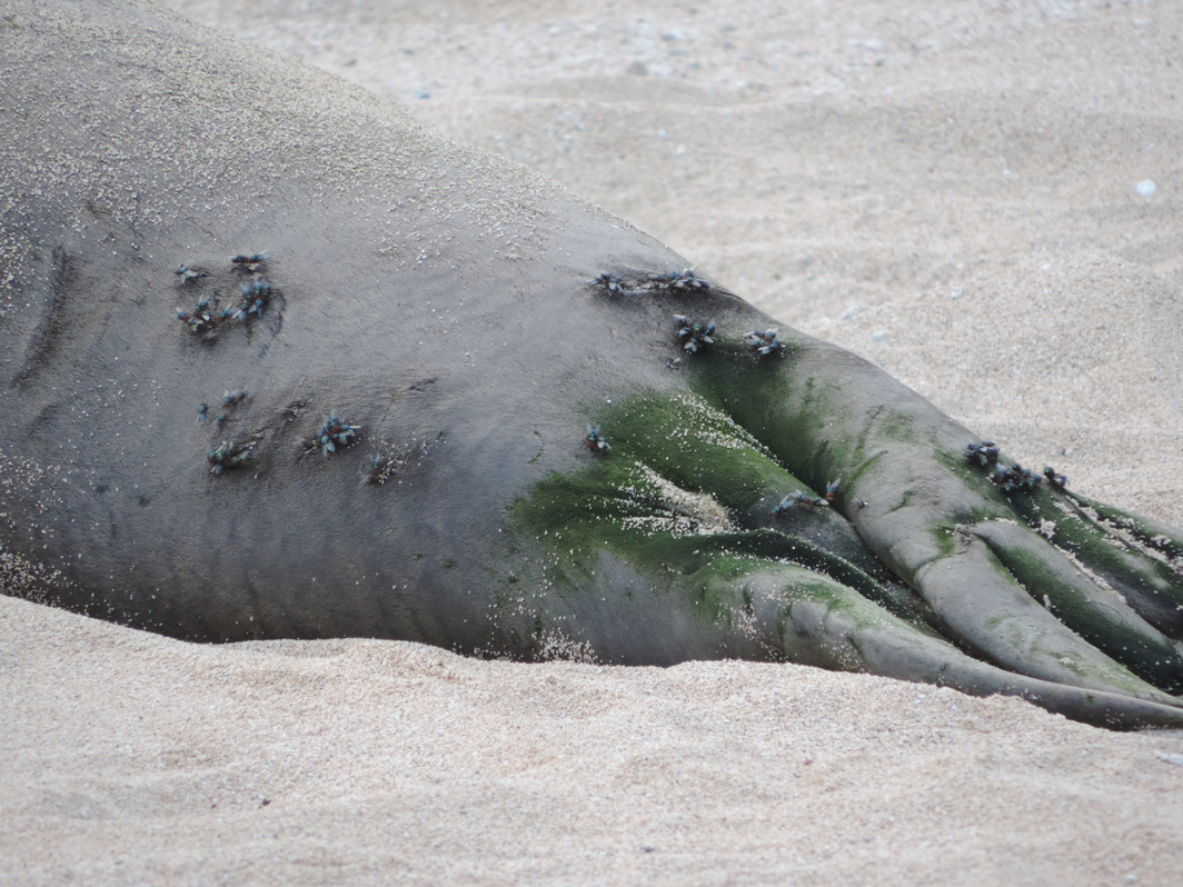 8122013 Team Billand Pohaku & Benny at