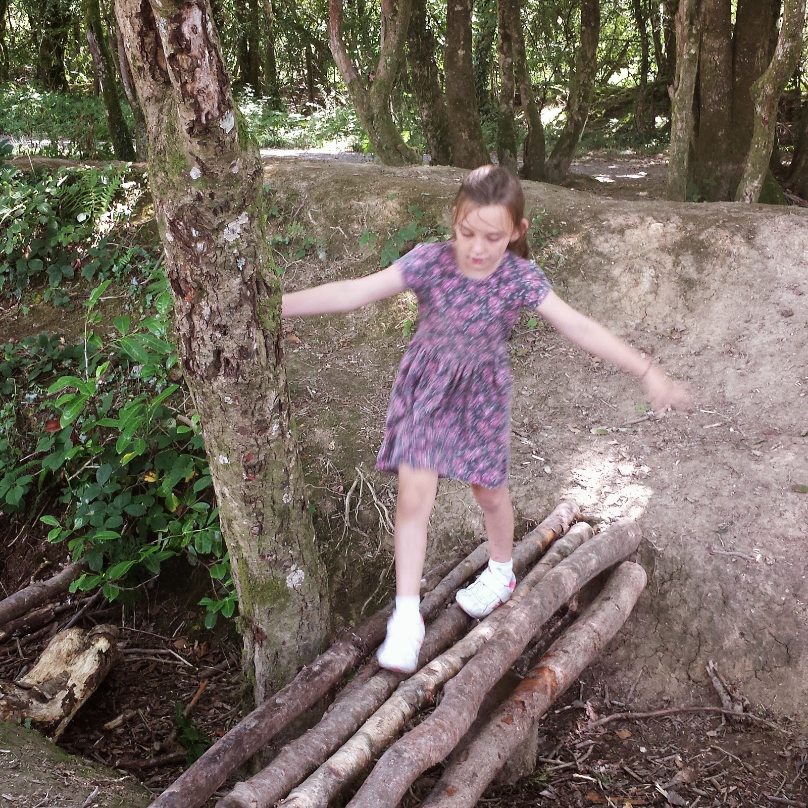 , A Woodland Walk at Scolton Manor with Jo #countrykids