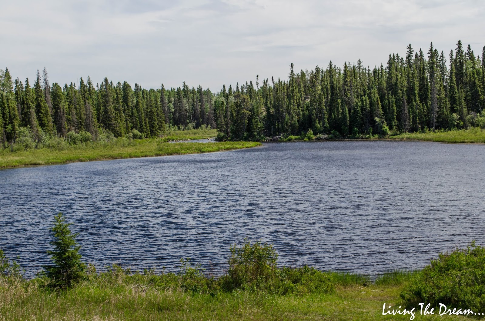 Living the Dream... Wednesday and Thursday, June 13 and 14, 2018