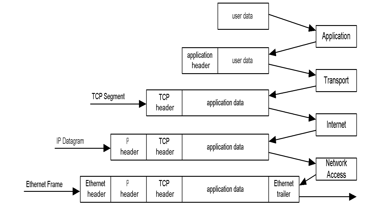 Duy Manucian: Mô hình TCP/IP