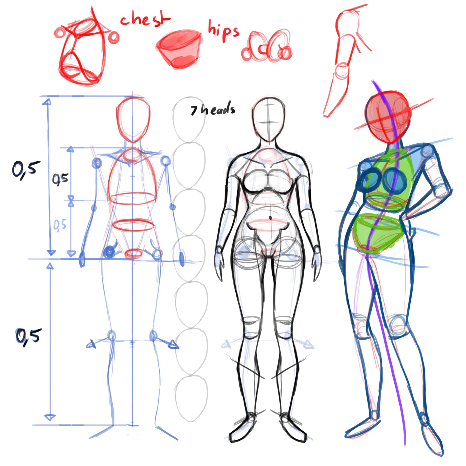 Покажи рисунки тела человека. Тело человека анатомия рисовать. Тело для рисования. Анатомия тела человека для рисования. Анатомия человека для рисования для начинающих.