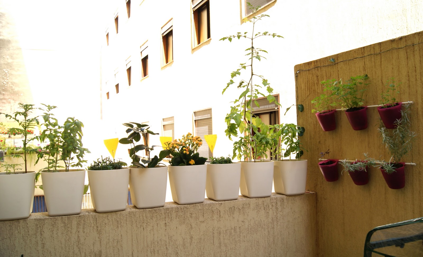 Decoración inexperta: ¿Disfrutas de tu patio interior?