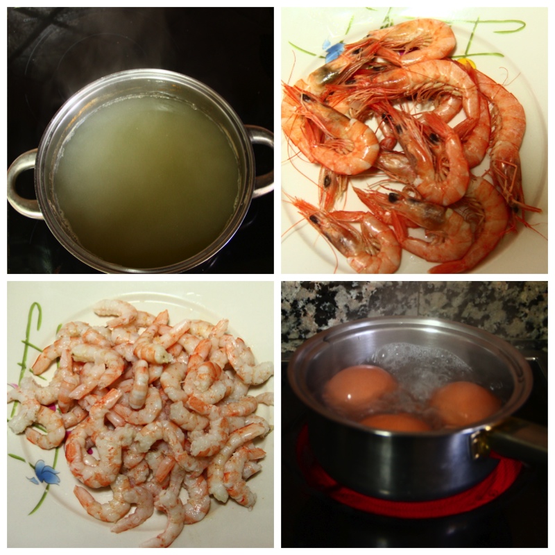 Foto: Preparación por pasos Sopa Viña AB