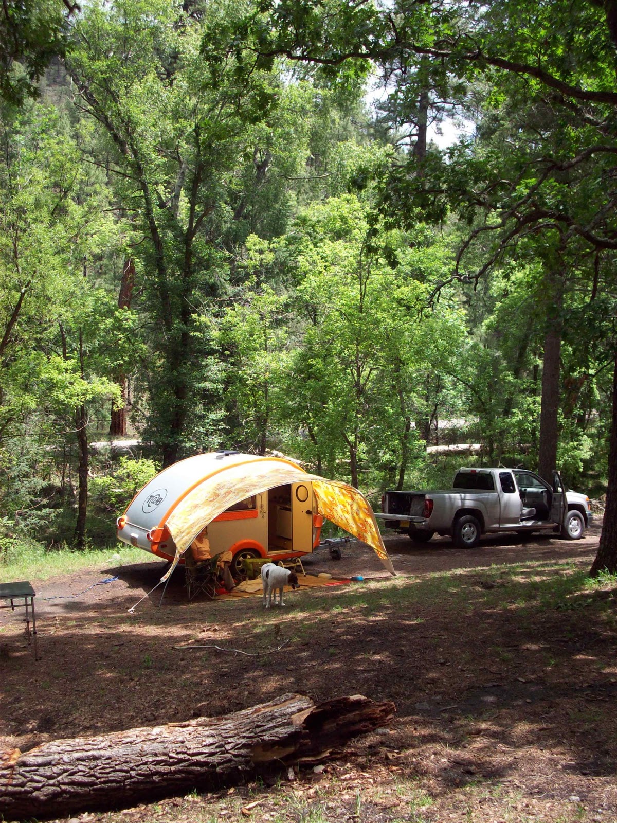 Southern New Mexico Explorer Iron Creek Black Range, Gila National Forest