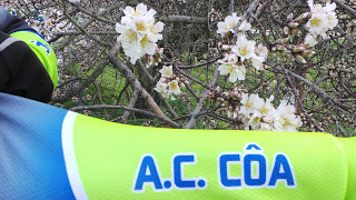 Passeio de Cicloturismo das Amendoeiras em Flor