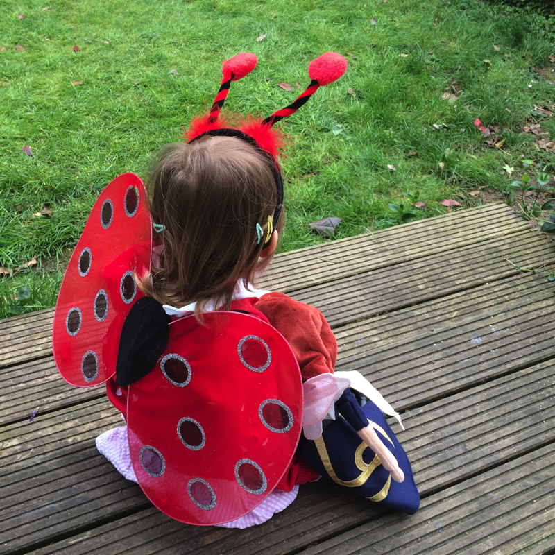 Red Ladybird Fair Wings and Deeley Boppers