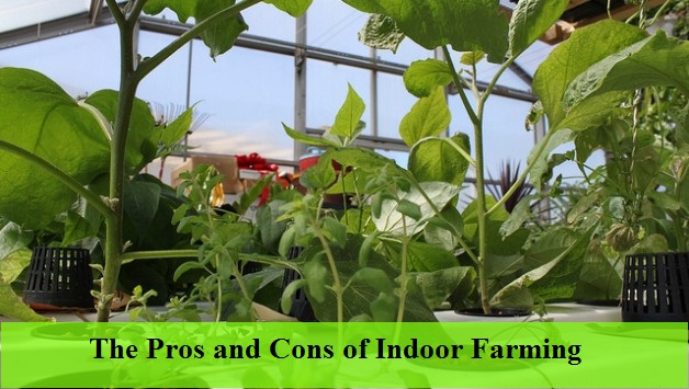 Indoor vertical farming