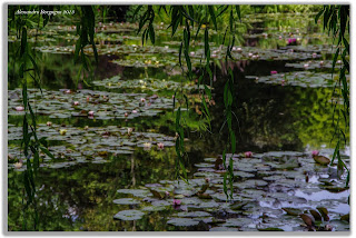 Monet - Maison et Jardin, Giverny