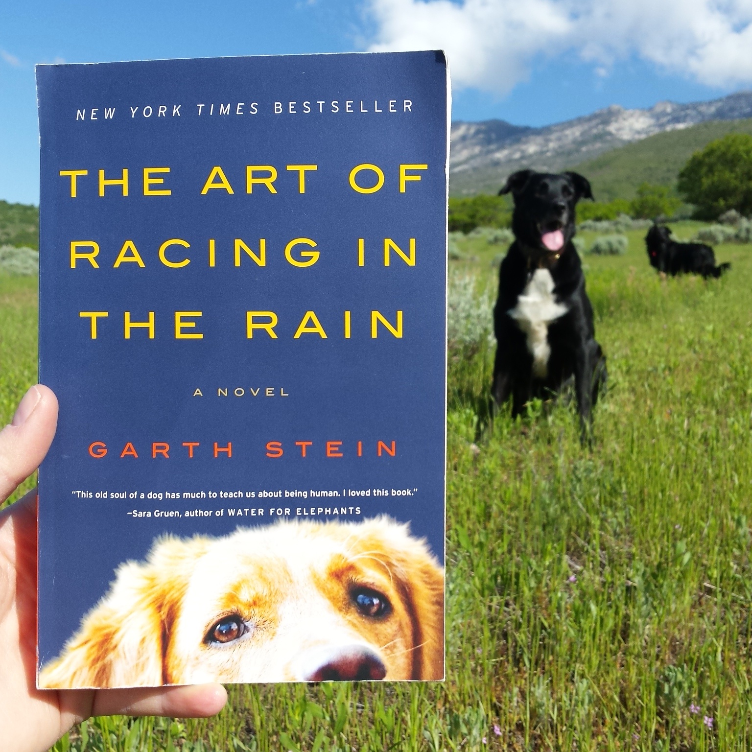 Book Review: The Art of Racing in the Rain by Garth Stein