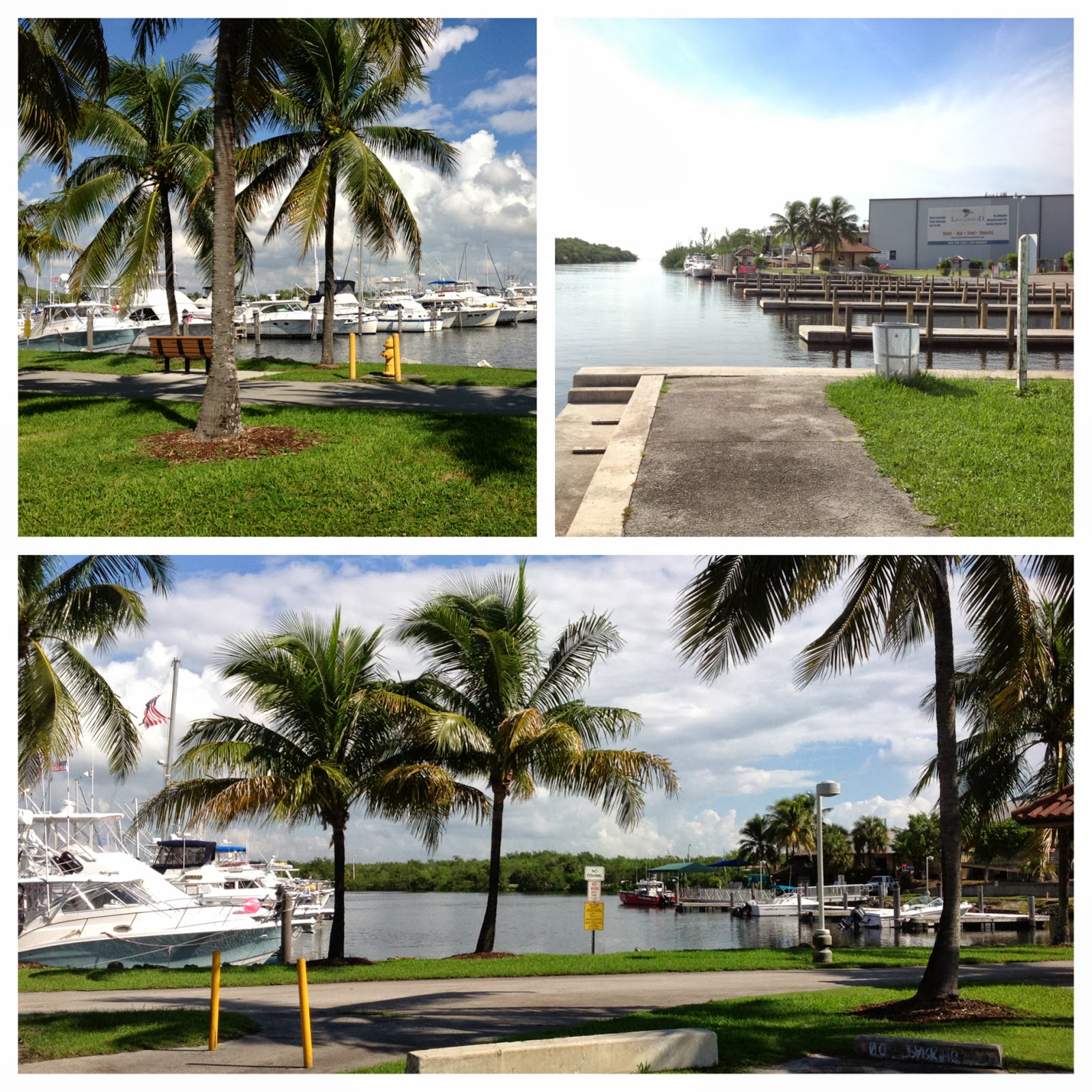 Maria Medina Cutler Bay Realtor Cutler Bay Parks