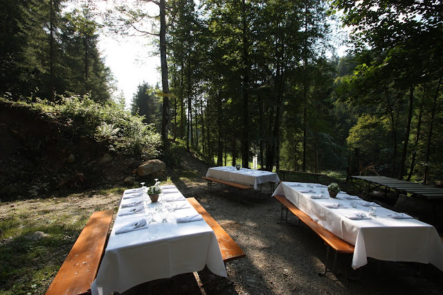 Wald-Picknick Wald-Picknick am Riessersee