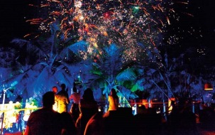 Blog Tour And Review Forged By Fate By Stacy Von Haegert