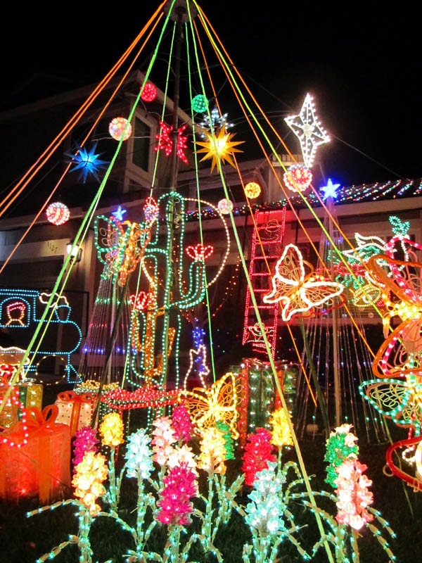 Captive Wild Woman The Christmaslight Displays of Concord, CA