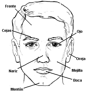 ELABORACIÓN DE UN BLOG EDUCATIVO: CUERPO HUMANO