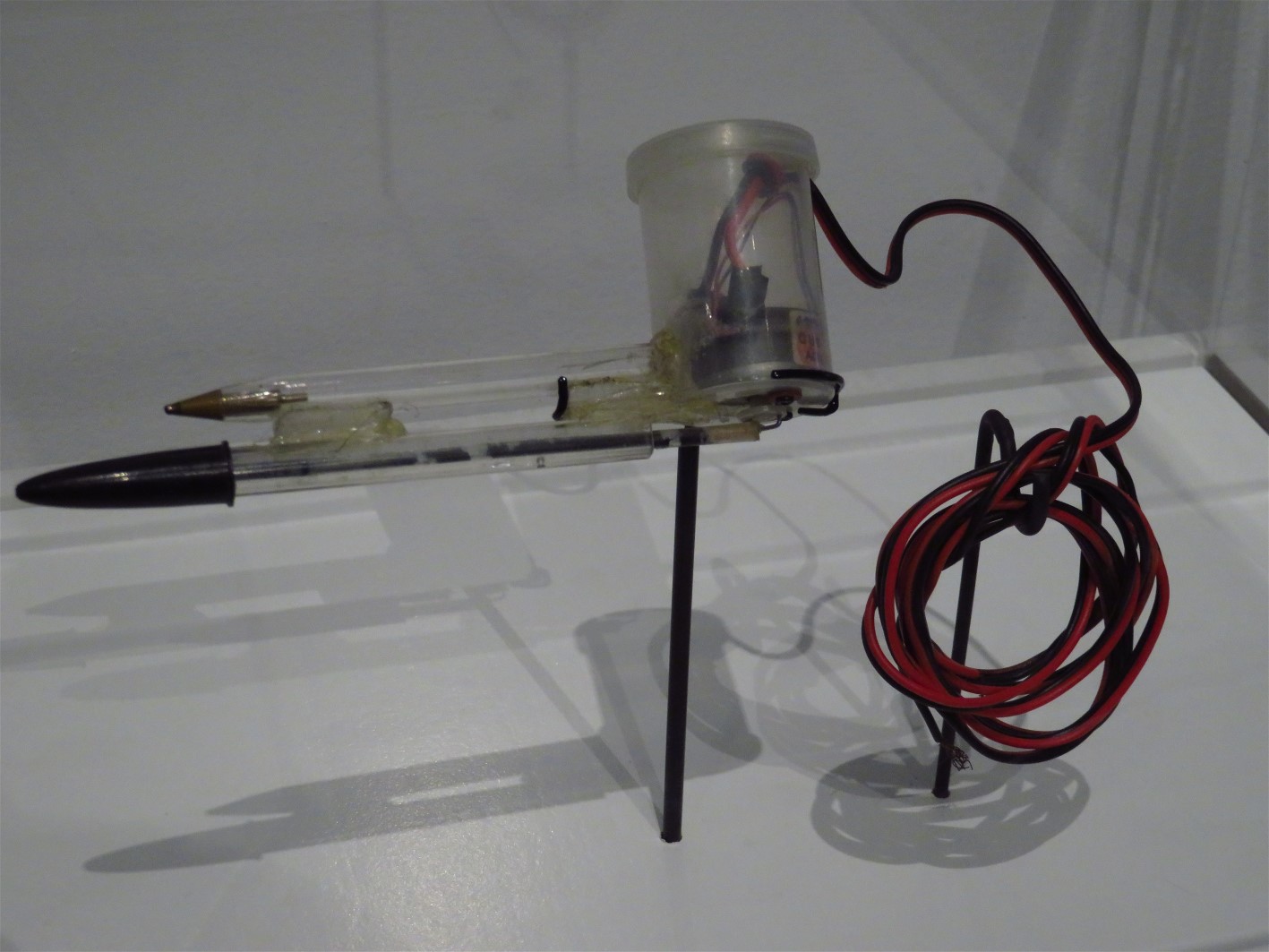 The World of Gord The Tattoos Exhibit at the ROM