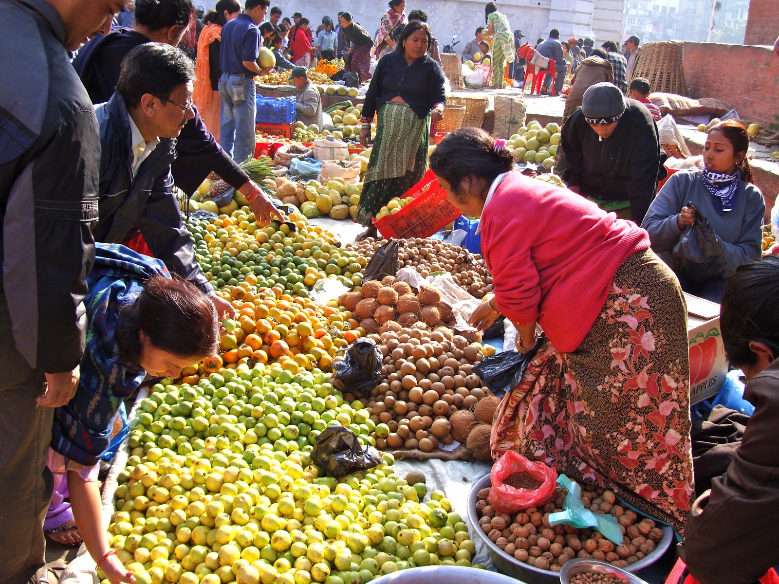 Lists of most common fruits of Nepal (NepaliEnglish)