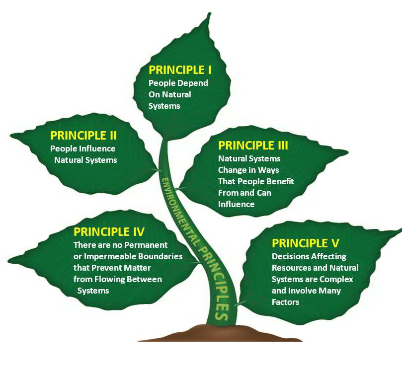 California Education and the Environment Initiative Environmental