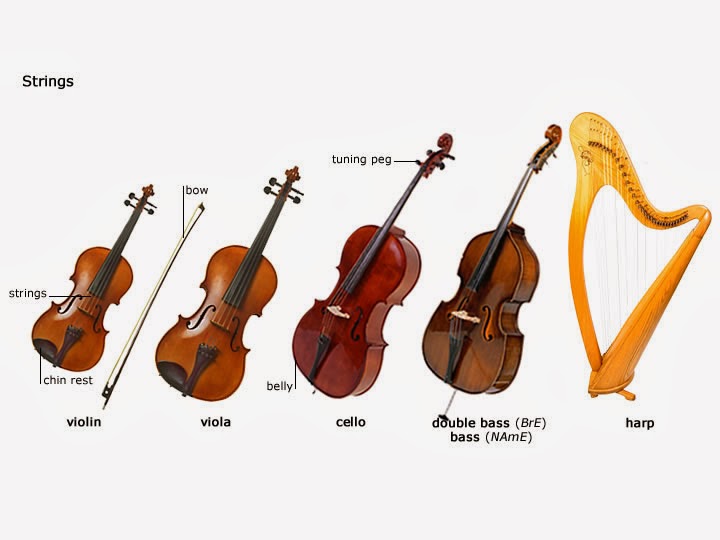 landsby en kop Virus Eureka Dry Tech Corp. : [Life] Music Instrument Storage--- Violin ,Viola, Cello (violoncello) and Double bass