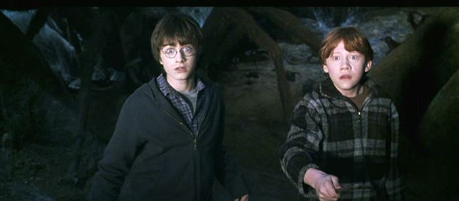 Baúl del Castillo: Adaptaciones (XXXVII): Harry Potter y la cámara secreta,  de Chris Columbus