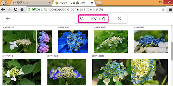 Googleフォトで紫陽花を検索