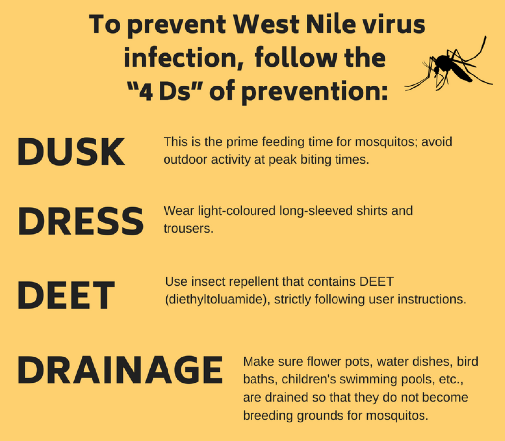 MSE Creative Consulting Blog Mosquito Safety