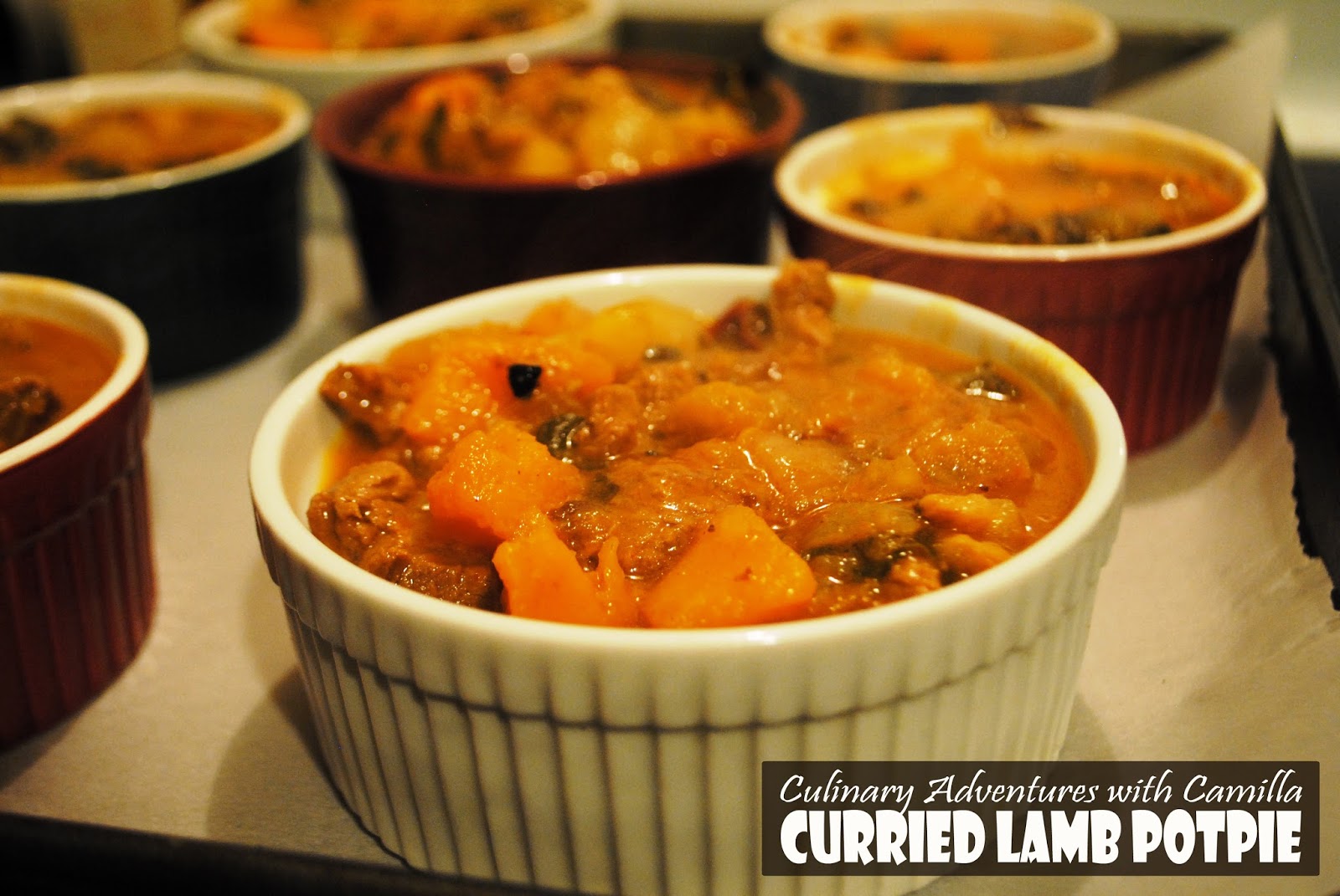 Curried Lamb Potpie for Pi(e) Day