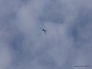 Pe un cer albastru, un avion albastru. Aerodromul Teritorial Elie Carafoli Tg. Mures.