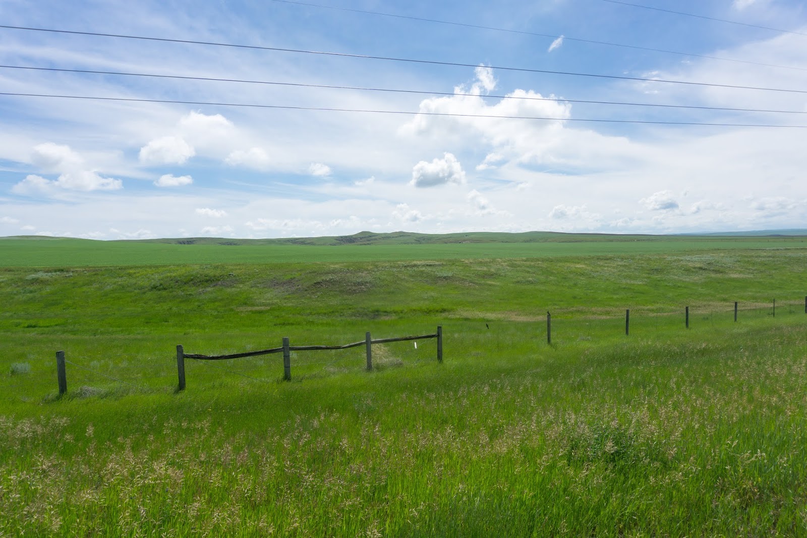 Boston to Seattle 2018 Day 50 Circle,MT to Wolf Point,MT