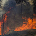 Onemi declaró la noche de este jueves Alerta Roja para las comunas de Ercilla y Collipulli en la provincia de Malleco, debido a un incendio forestal.
