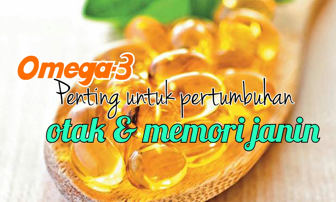 Elzora Super Momma Fungsi Omega3 untuk bayi & kitaOmegaguard Shaklee
