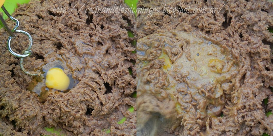 Galletas con chips de chocolate