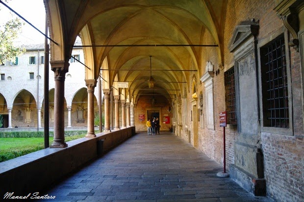 Padova, Basilica di Sant'Antonio, Chiostro della Magnolia Padova, Basilica di Sant'Antonio, Chiostro della Magnolia