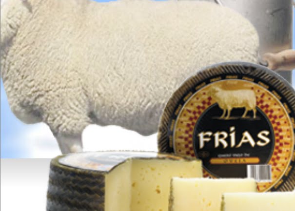 Queso de oveja Frias