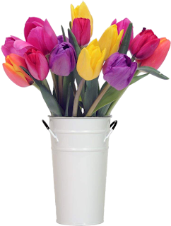 Vaso de tulipas coloridas Vaso de tulipas coloridas